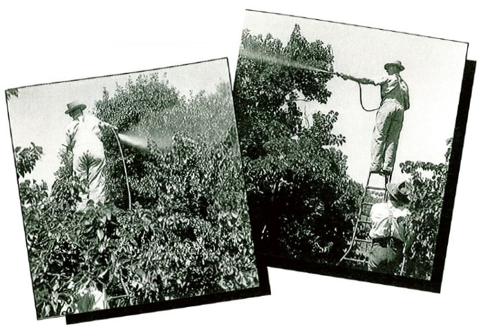 high pressure spray nozzles are used to treat dense foliage