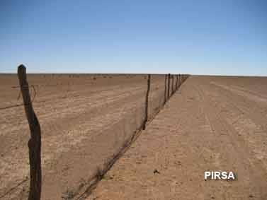 A section of the dog fence at Millers Creek