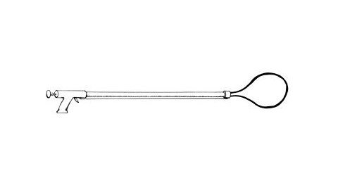 A lobster snare