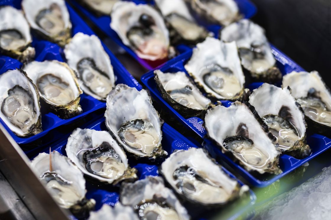 Keep our oysters safe from disease