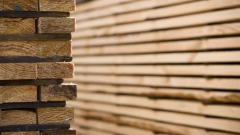 A stronger future for South Australian timber