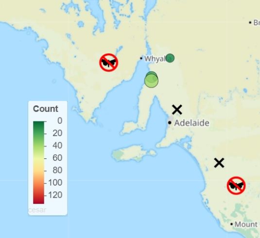 Native budworm trapping map to 2 September
