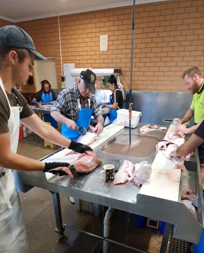 Processing Snapper at Thevenard Fish Processors