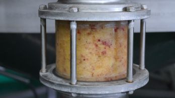 Ashton Valley Juicery: Innovating with sustainable practices and value-added products