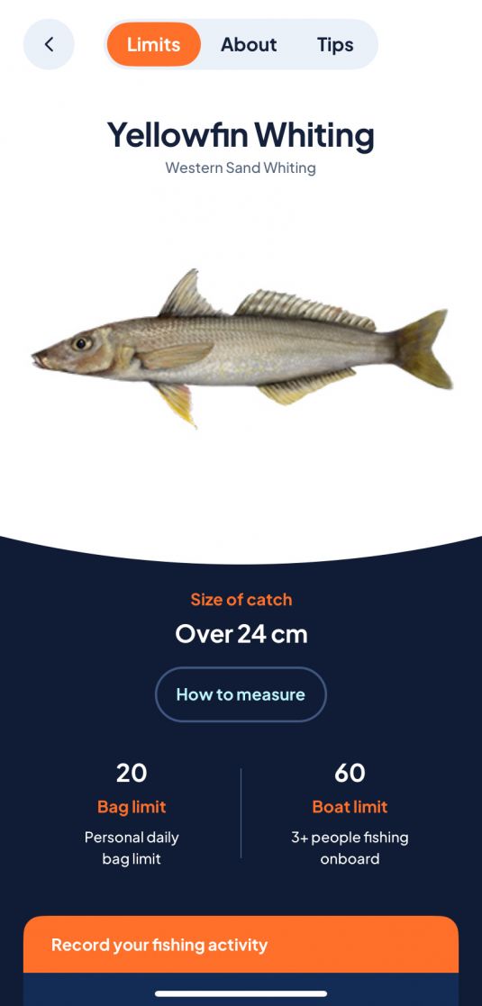 SA Fishing app - Whiting page