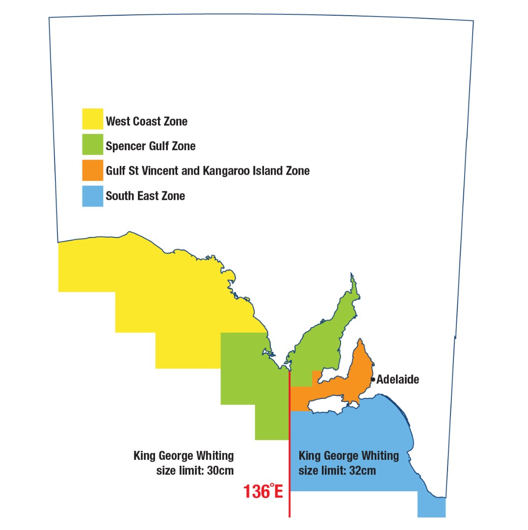 Temporary-King George Whiting limits apply in Coffin-Bay