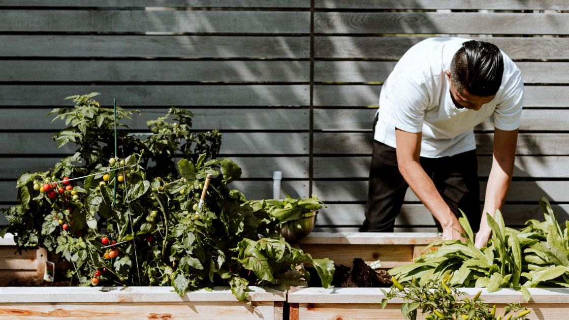 Gardening
