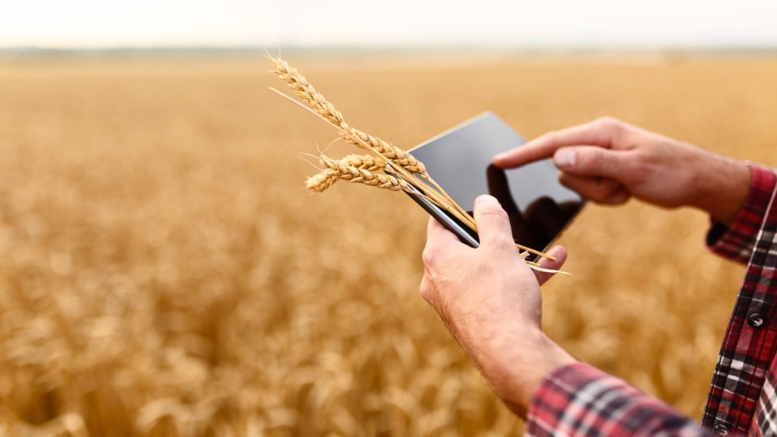 Positive grain forecast despite global pressures