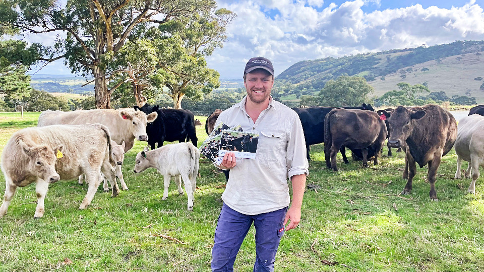 A farmer holding copies of the Cattle Diseases Guide with cattle in the background