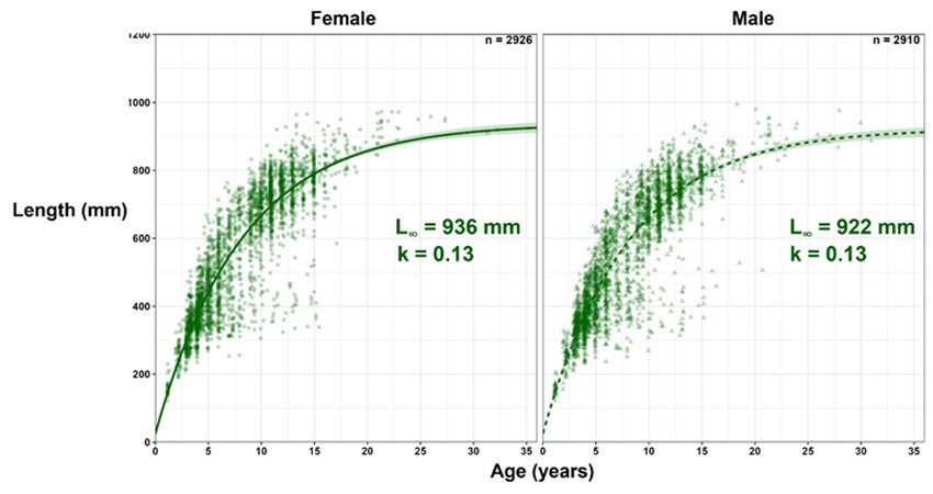 Von Bertalanffy growth curves for Snapper sampled from Northern Spencer Gulf between 2000 and 2023