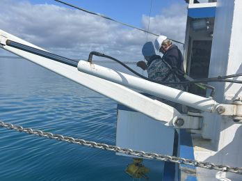 Mapping Decadal-Scale Changes of Nursery Habitat for Juvenile Snapper in Gulf St Vincent, South Australia, September & October 2024
