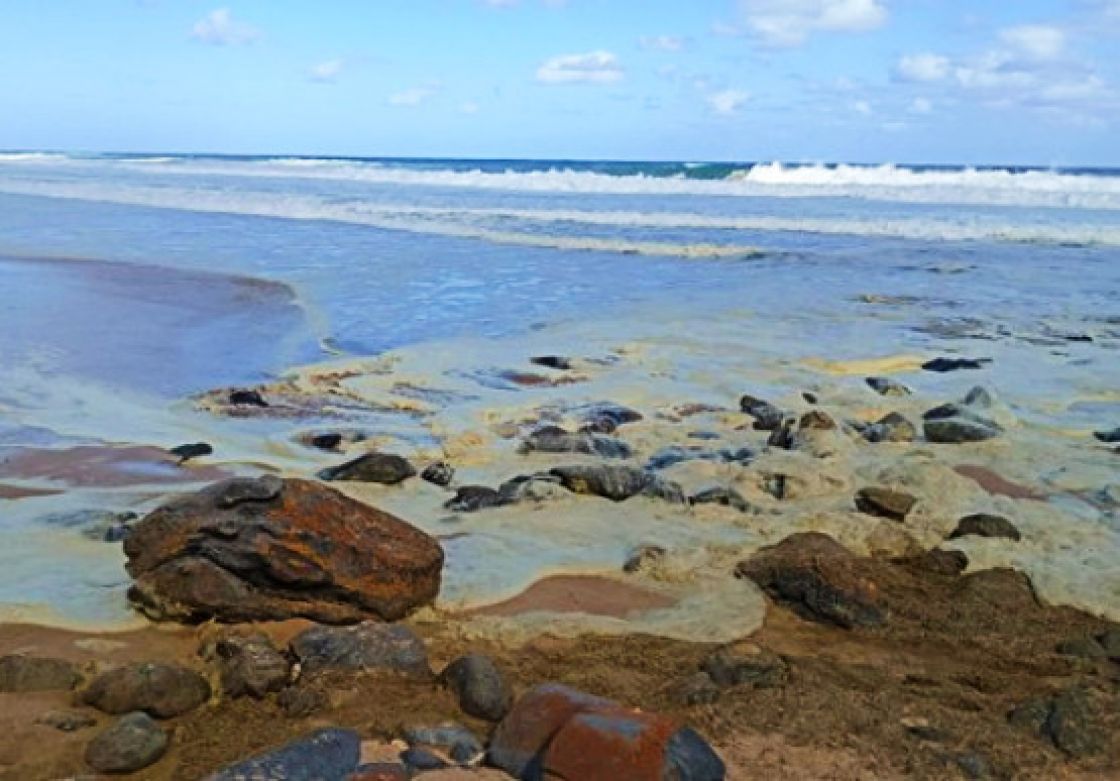 Brownish sea foam washing over rocks on the shore
