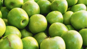 Ceduna on track to be fruit fly free