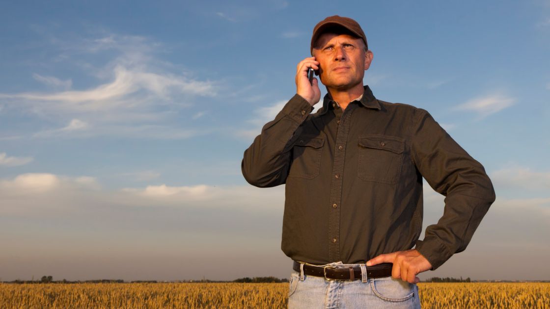 Improved mobile and internet connectivity in the Limestone Coast