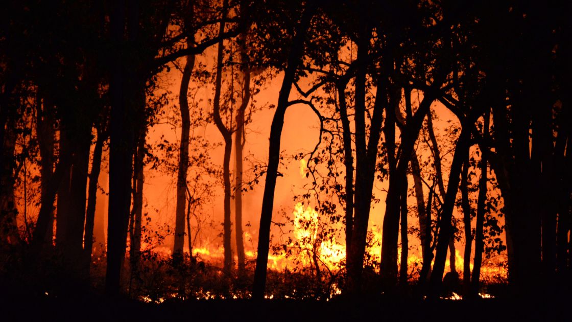 Removing training barriers for cross-border forest firefighters