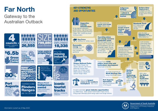 Infographic showing key information about the Far North