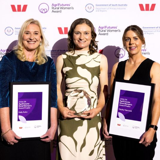 Three women standing in a line. The two outer ones each hold a framed certificate, and the middle woman holds and award.