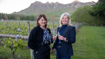 Global showcase secured for SA wines under new deal with French connection
