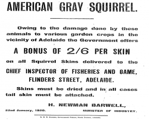 1920s bounty poster for the American grey squirrel