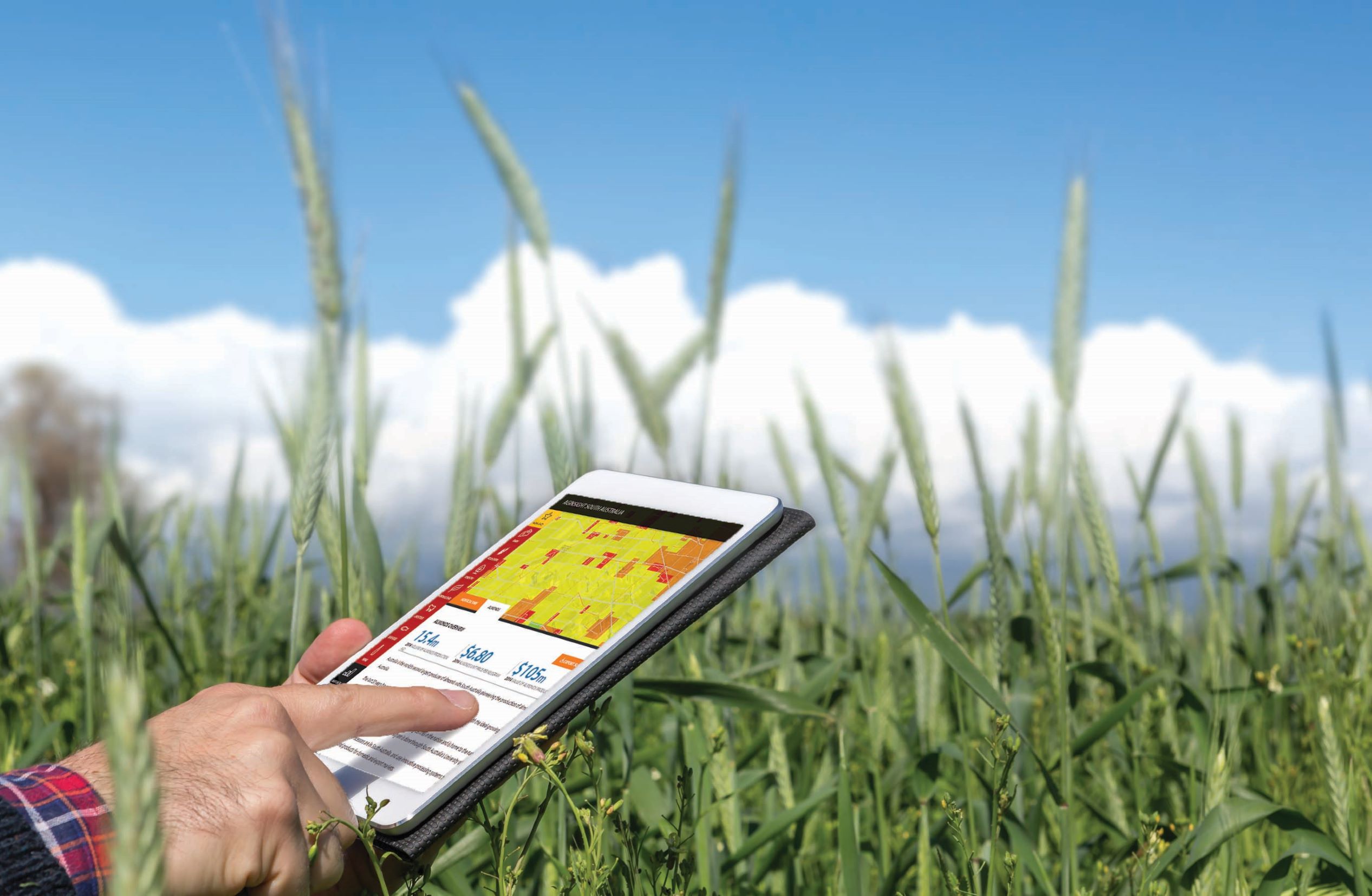 Access the AgInsight data