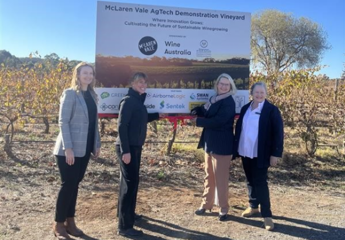 South Australian wine growers embrace innovation to boost resilience and productivity