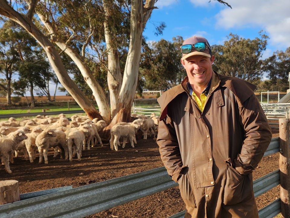 A man standing in the foreground with sheep under a tree behind.