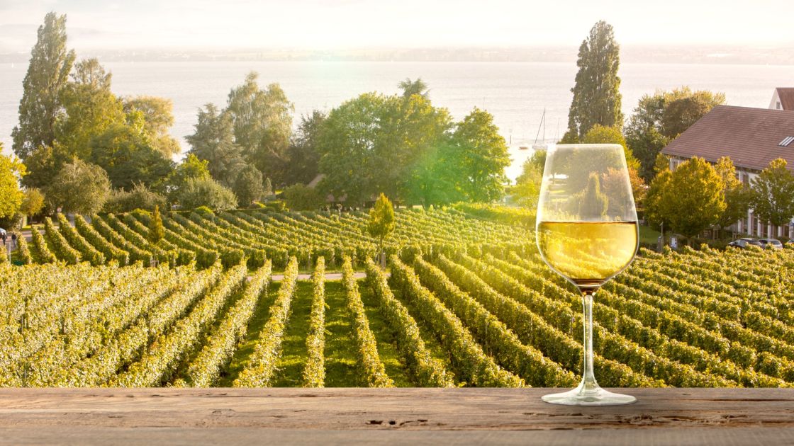 Backing the next generation of SA wine and tourism leaders