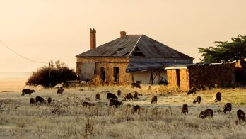 Top 10 Ag Towns of the Year announced