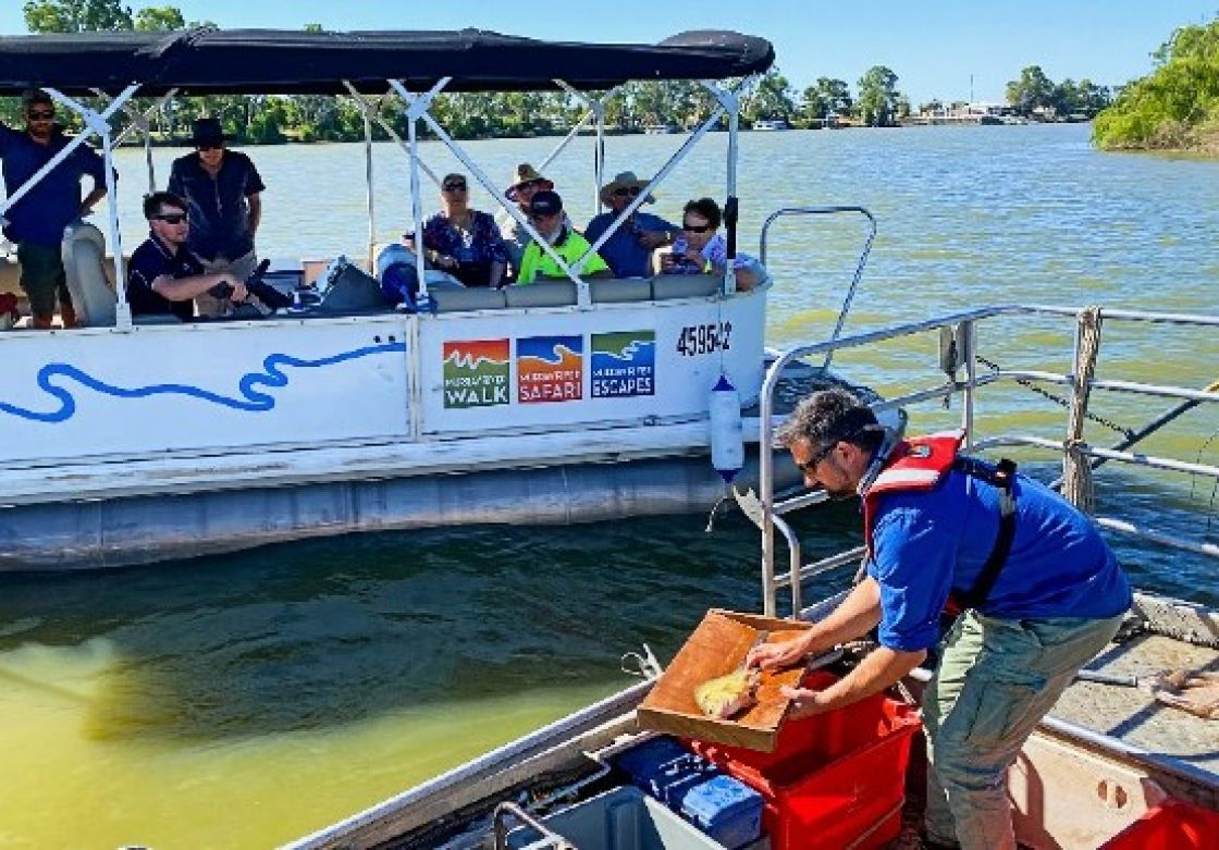 A researcher aboard a boat examines a fish while people watch from another boat