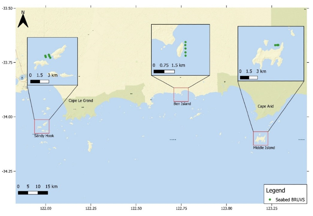 Map showing BRUVS deployments near Sandy Hook, Ben Island and Middle Island