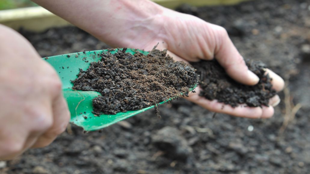 A close-up of hands holding dark, moist soil, one using a green plastic trowel, suggesting sampling or preparation for planting.