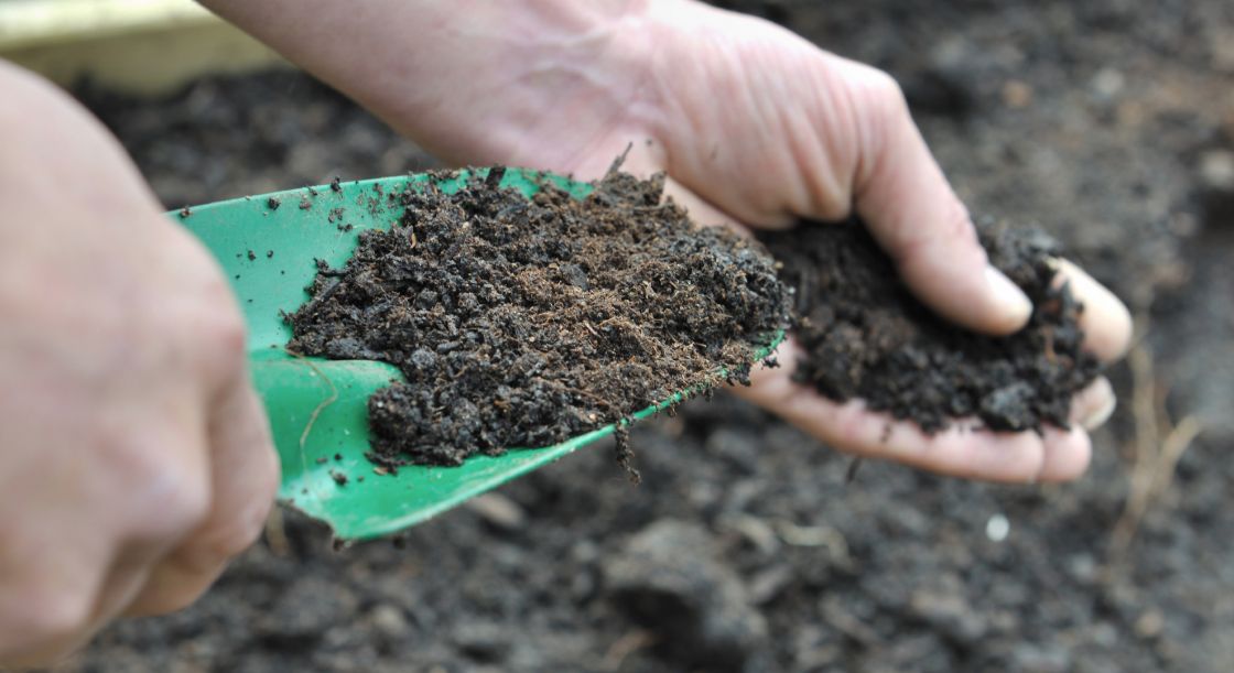 New grant to help cultivate soil success