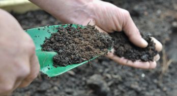 South Australian Soils Collaboration Centre (SCC)