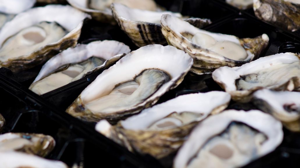 A tray of fresh oysters.