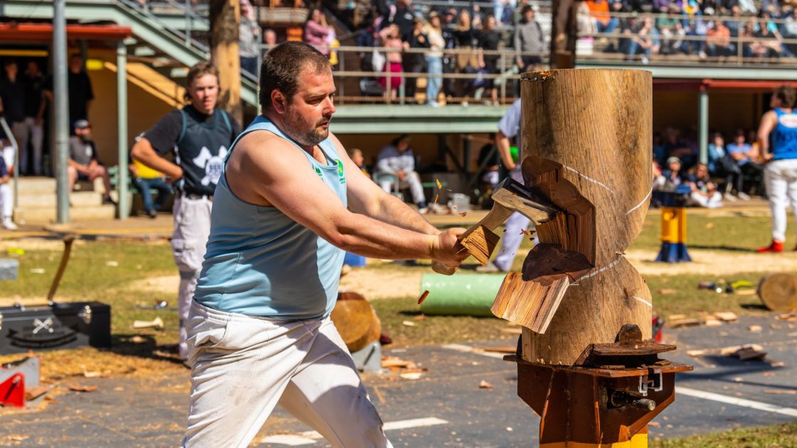Royal Adelaide Show 2026