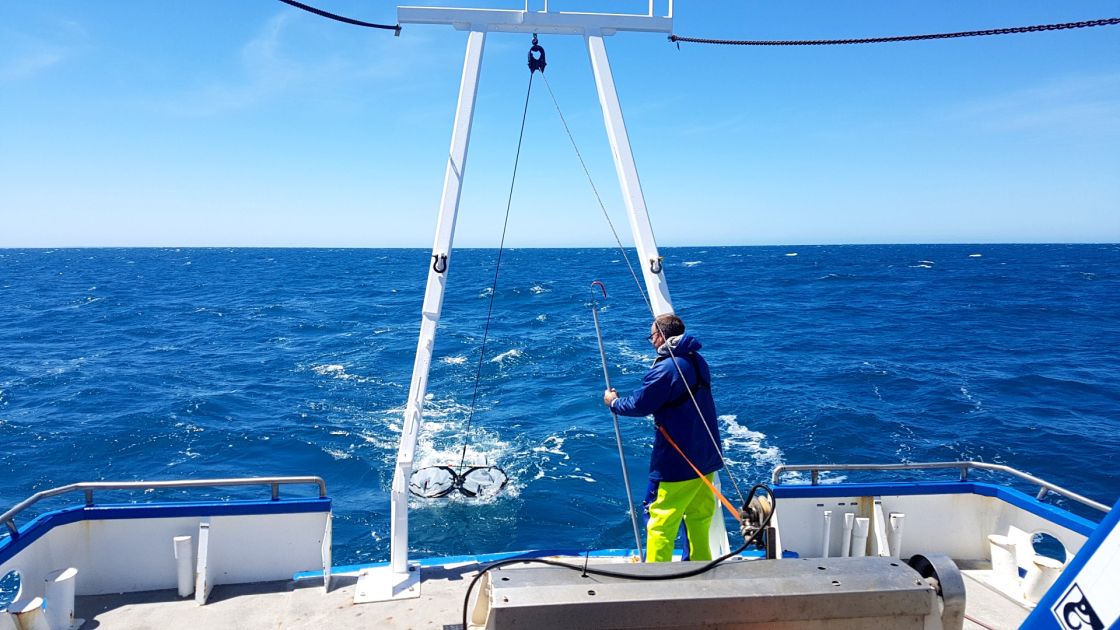 Innovations in estimating biomass in the dynamic SA snapper fishery