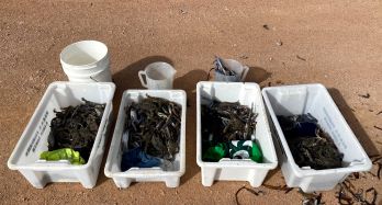 One of worst Blue Swimmer Crab breaches this year at Thompson Beach results in $6,550 in fines