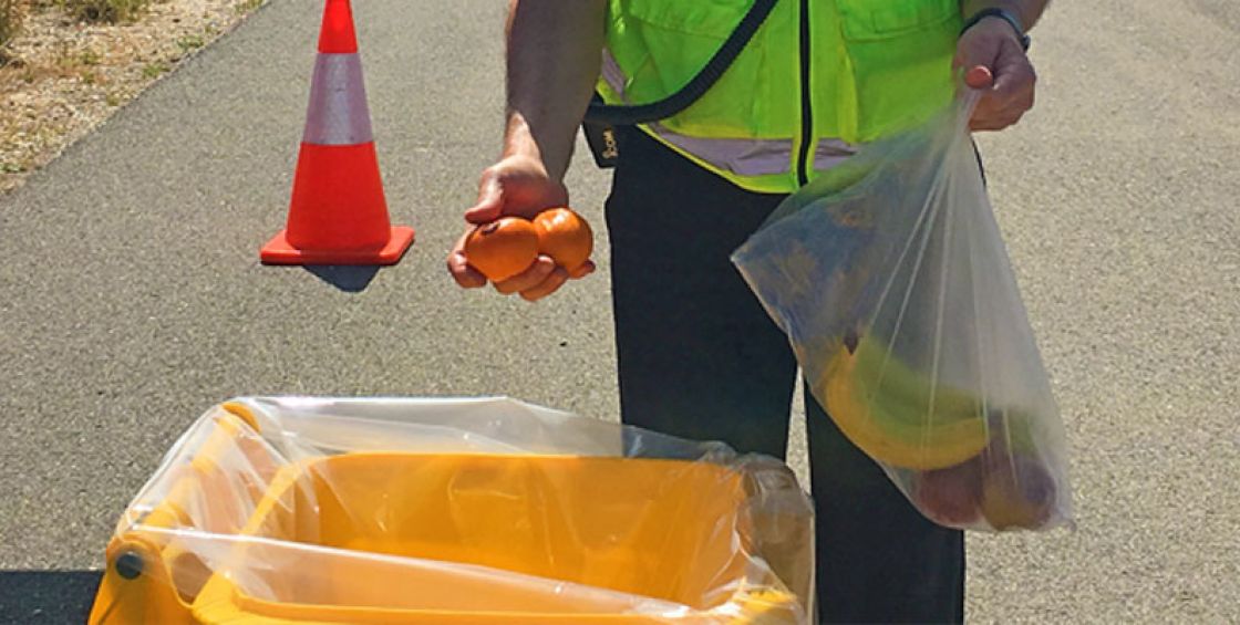 Bring the chocolate, leave the fruit and vegetables at home this Easter