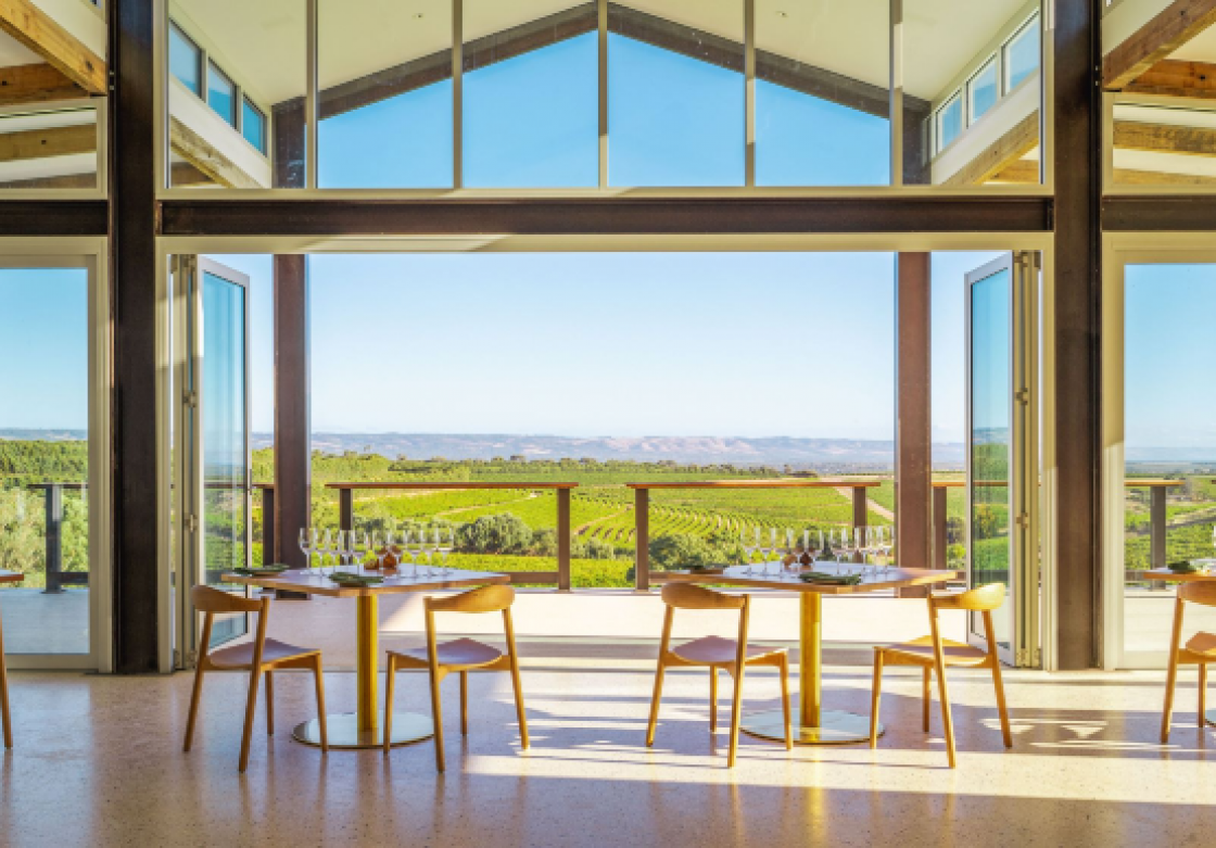 A view from inside Dandelion Vineyards, looking out on the crops