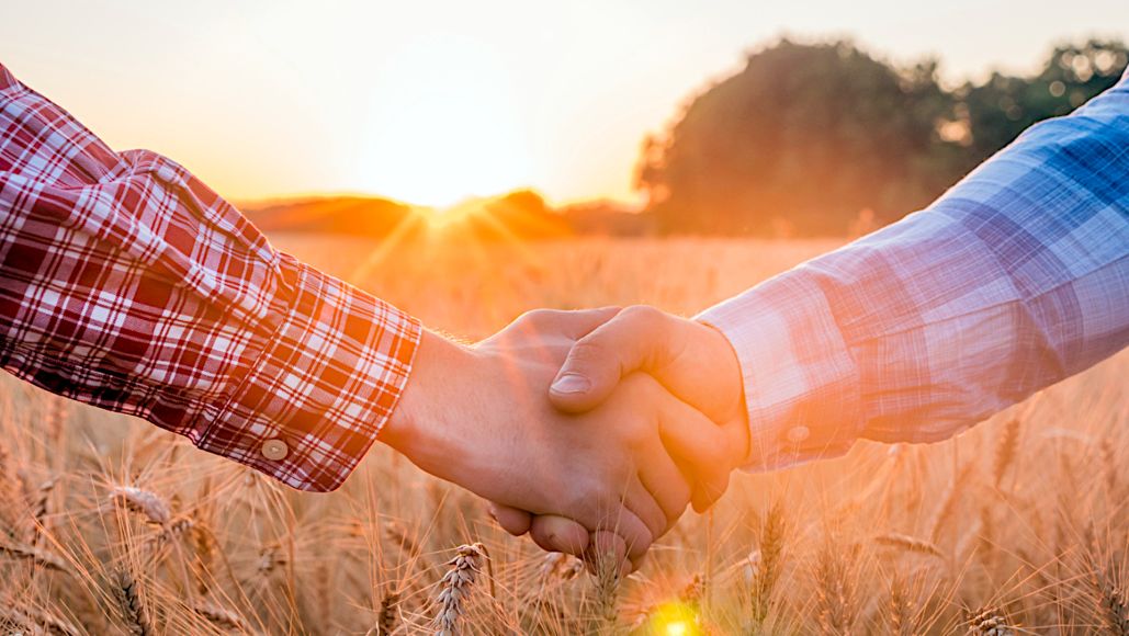 Men shake hands in an orchard