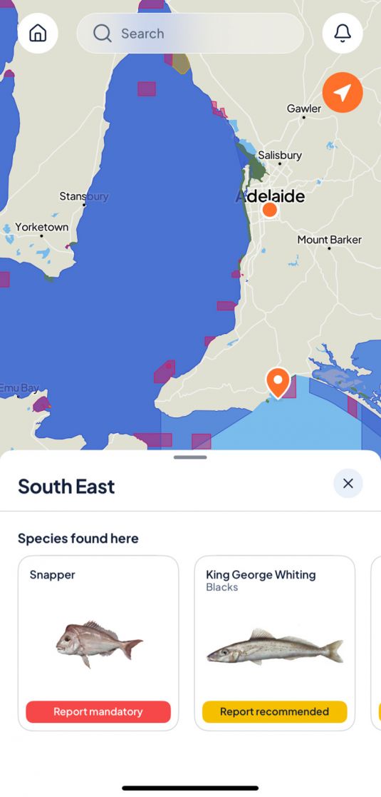 The map functionality of the SA Fishing app, showing South Australia and areas where Snapper and King George Whiting are, and their reporting recommendations.
