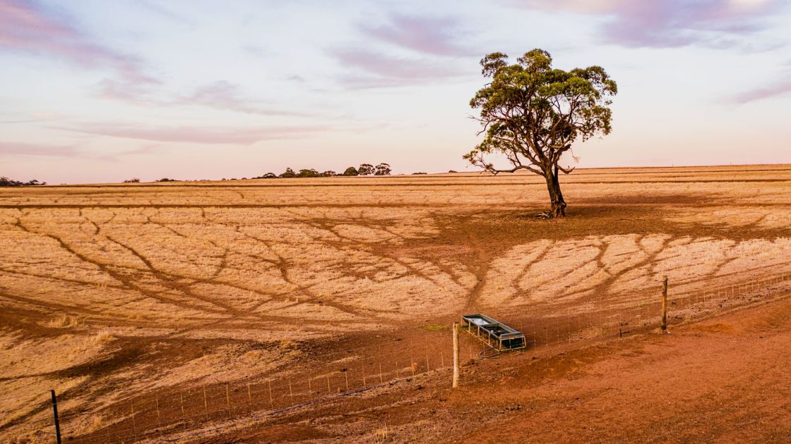 New support for SA farmers