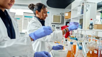 National Office for Algal Bloom Research opens in Adelaide