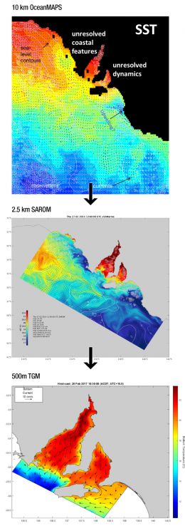 Diagram showing the flow of information from the global10 km grid OceanMAPS, to the 2.5 km SAROM and then 500 m grid TGM.