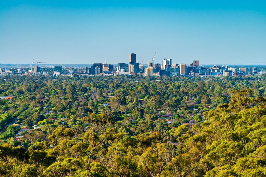 Adelaide city viewed from a distance overlooking trees