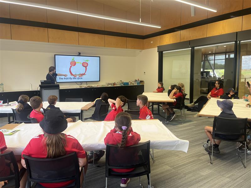Young environmental leaders in a classroom