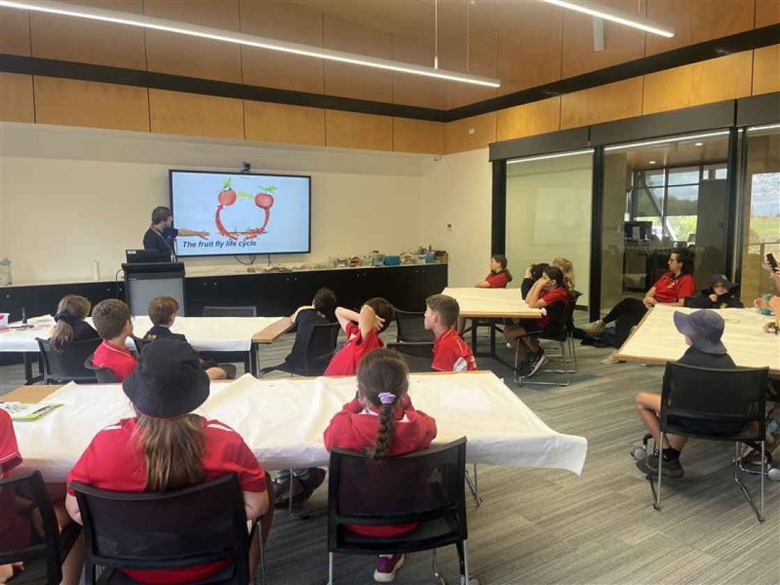 Young environmental leaders in a classroom