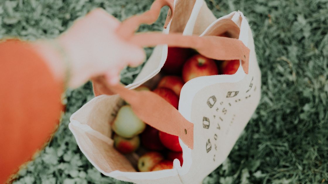 Salisbury North declared fruit fly free