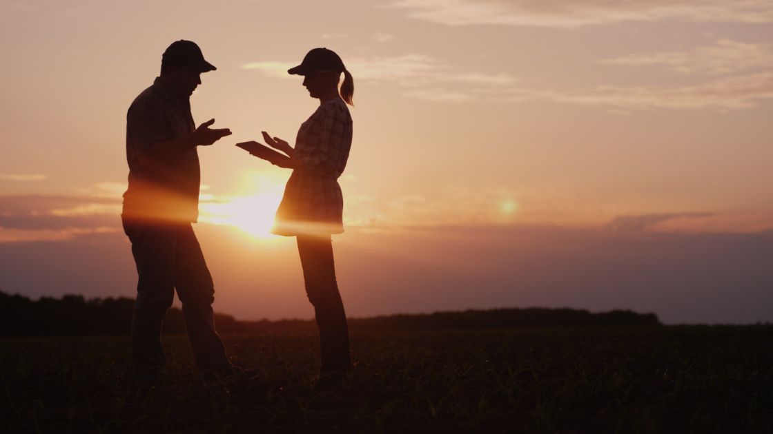 Two farmers chat at sunset