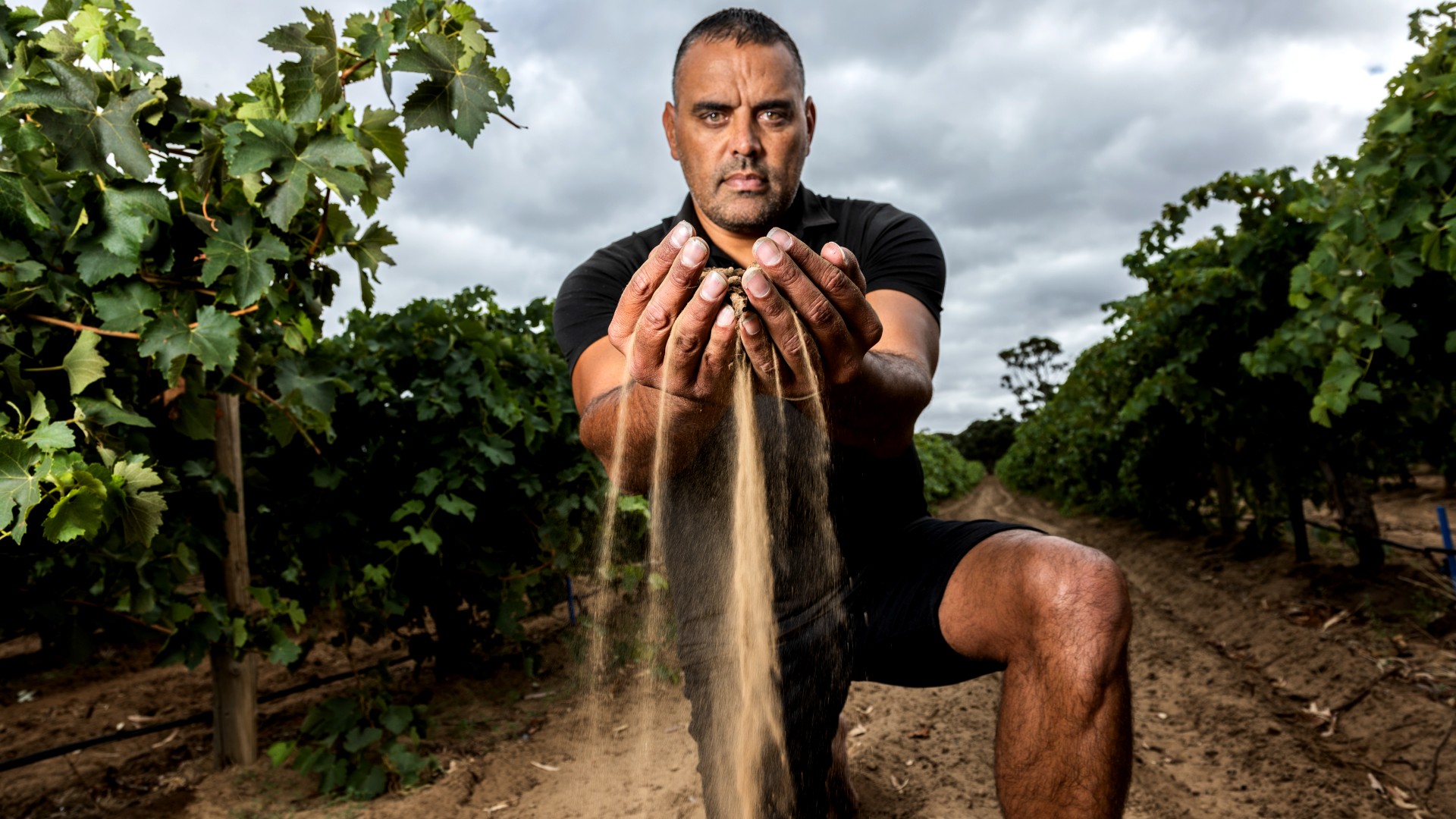 Munda Wines - Dragan Radocaj